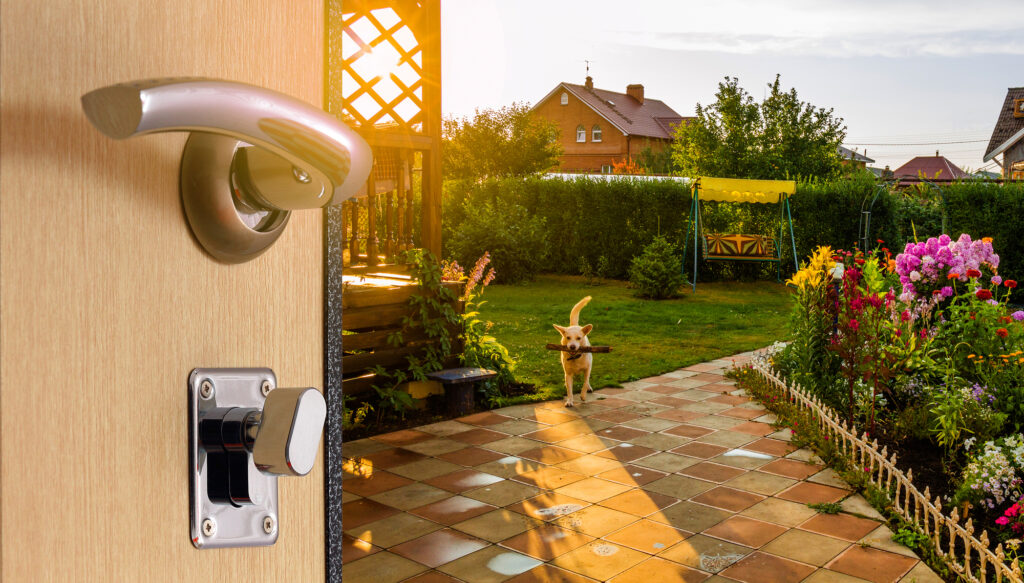 庭で犬が棒をくわえて遊んでいる