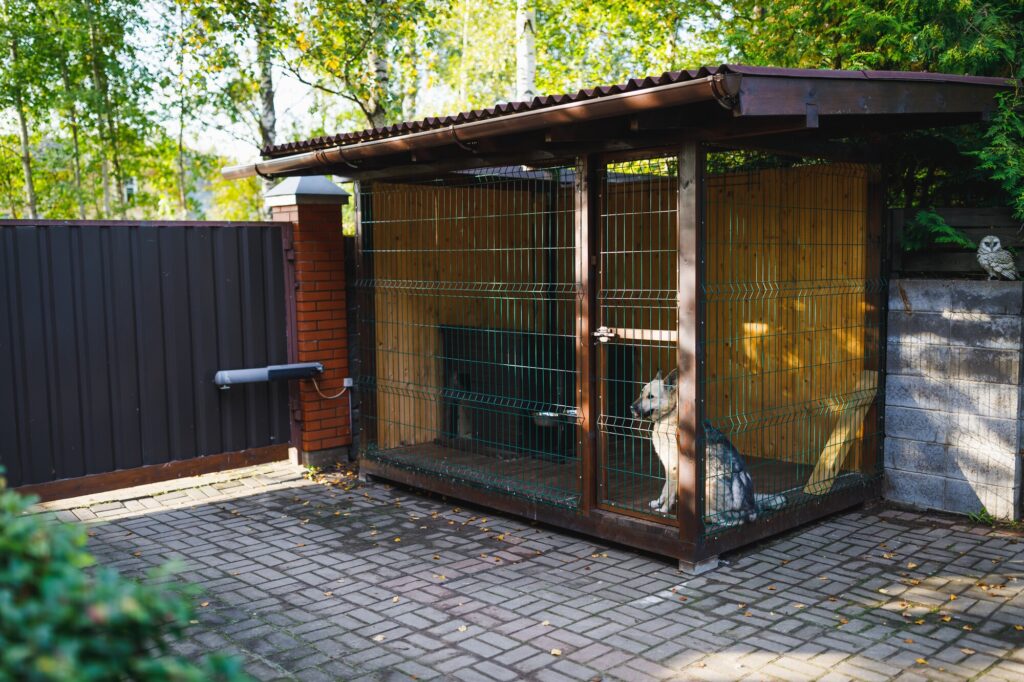 犬が小屋の中にいる