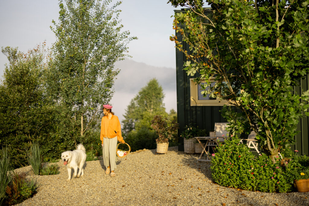 庭で散歩中の女性と犬