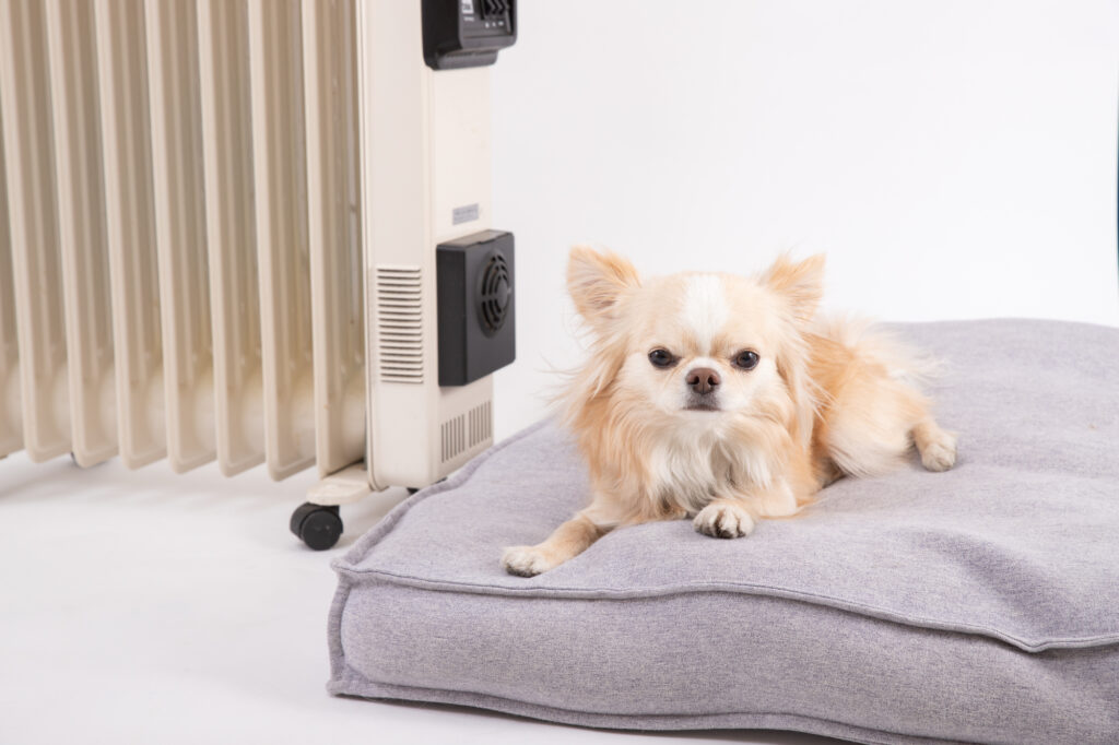 ヒーターの前で寛ぐ犬