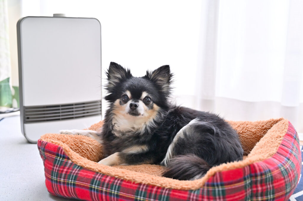 ヒーターの前で温まる犬